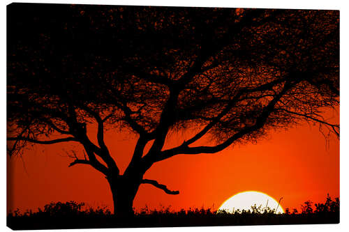 Canvas print Tree silhouette at sunset