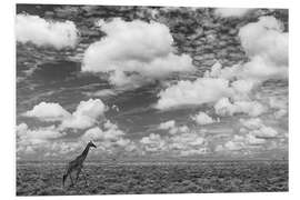 Foam board print Masai giraffe on open plains