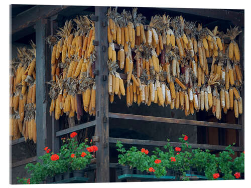 Acrylic print Corn on the cob drying on Lake Molveno