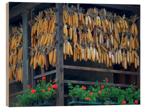 Quadro de madeira Corn on the cob drying on Lake Molveno