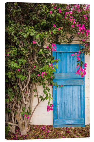 Canvas print Blue door with bougainvillea