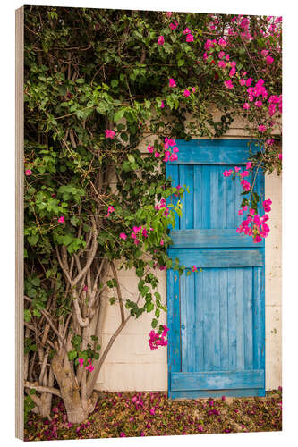 Hout print Blue door with bougainvillea