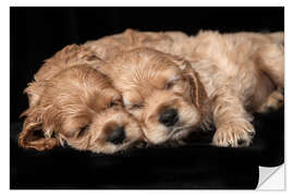 Wall sticker Cocker Spaniel puppies