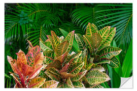 Wandsticker Palmwedel und Croton-Pflanzen II