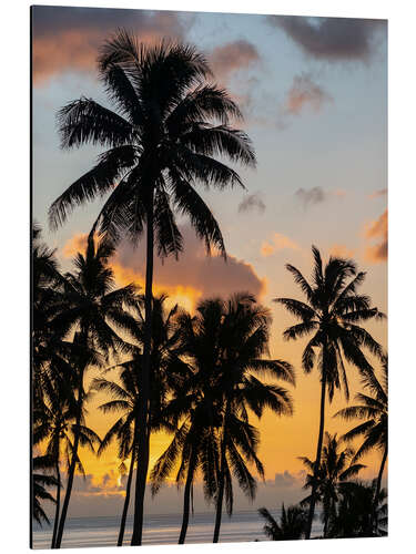 Aluminium print Fiji, Taveuni Island