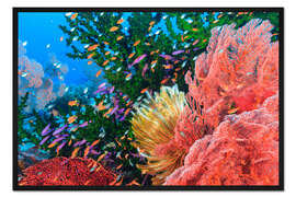 Gerahmter Kunstdruck Buntes Riff