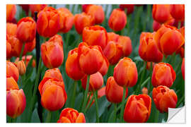 Wall sticker Orange tulips