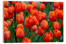 Wood print Orange tulips