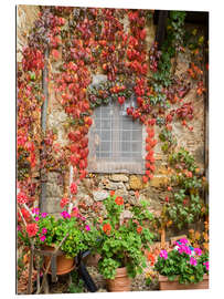 Galleriprint Geraniums and autumn-colored climbing vines