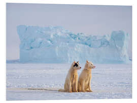 Foam board print Sled dogs in Greenland