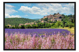 Gerahmter Kunstdruck Lavendelblüte in der Provence