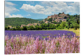 Galleritryck Lavender blossom in Provence