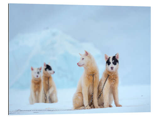 Galleriprint Winter in Uummannaq