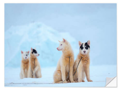 Naklejka na ścianę Winter in Uummannaq