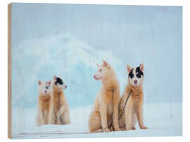 Wood print Winter in Uummannaq