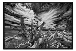 Gerahmter Kunstdruck Treibholz am Meeresufer