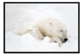 Gerahmter Kunstdruck Eisbär schlafend im Schnee