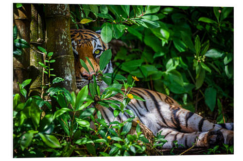 PVC-tavla A Malay tiger in the thicket