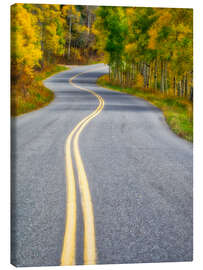 Lerretsbilde Colorado in fall colors