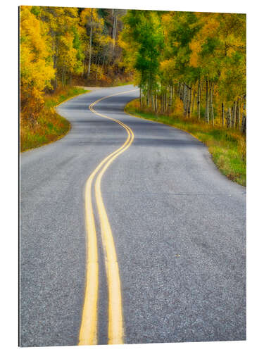 Gallery Print Colorado in Herbstfarben