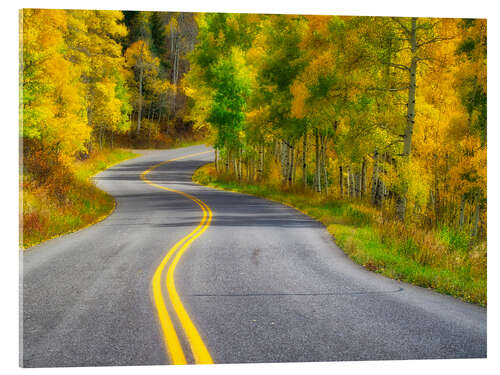 Cuadro de metacrilato Curved Roadway near Aspen