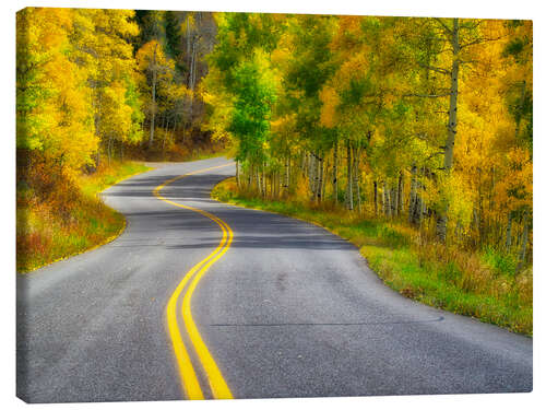 Canvas print Curved Roadway near Aspen