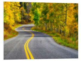 Stampa su PVC Curved Roadway near Aspen