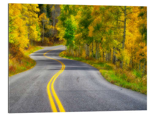 Tableau en plexi-alu Curved Roadway near Aspen