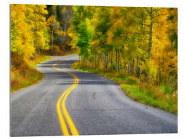 Tableau en plexi-alu Curved Roadway near Aspen