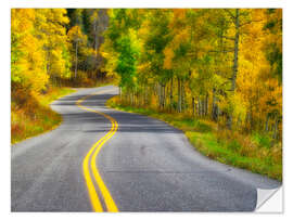 Muursticker Curved Roadway near Aspen