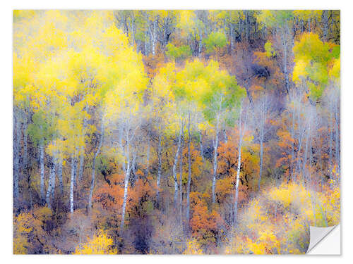 Sisustustarra Yellow fall aspen