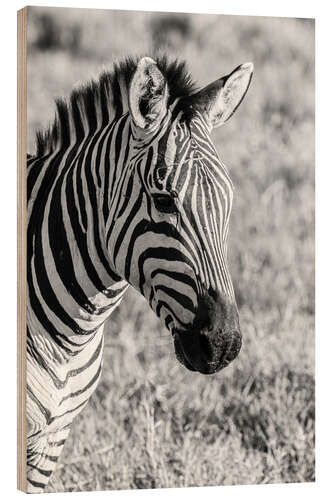 Wood print Head of a plains zebra