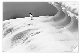 Naklejka na ścianę Adelie penguin on an iceberg