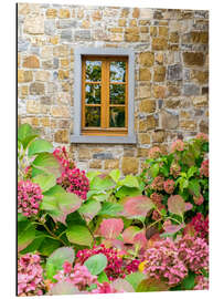 Aluminium print View with hydrangeas