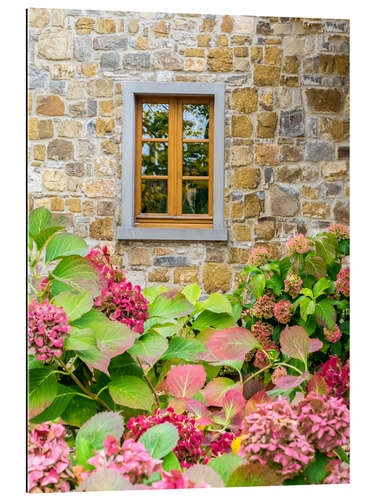 Gallery print View with hydrangeas