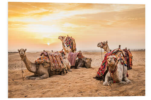 Tableau en PVC Egyptian camels