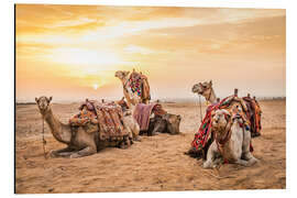 Magnettafel Ägyptische Kamele