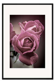 Gerahmter Kunstdruck Rosen