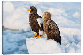 Leinwandbild Seeadler