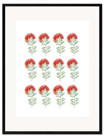 Framed art print New Zealand Red Flower