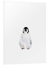 Foam board print Penguin cool