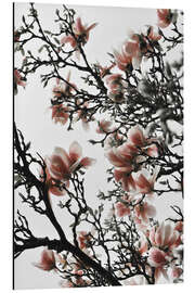 Tableau en aluminium Magnolia pêche en fleurs