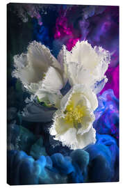 Canvas print White tulips