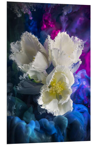 Foam board print White tulips