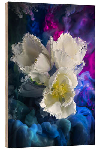 Wood print White tulips