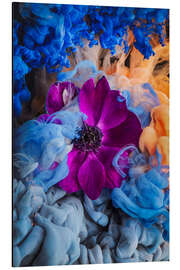 Magnettafel Rosa Annemone