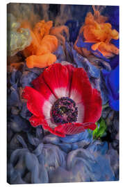 Canvas print Anemone red white