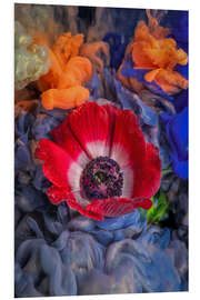 Foam board print Anemone red white