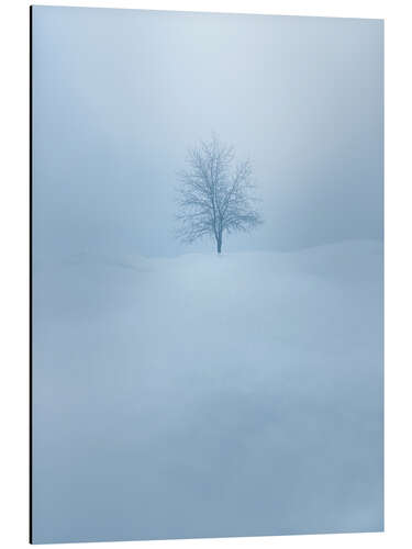 Alubild Baum im Schnee