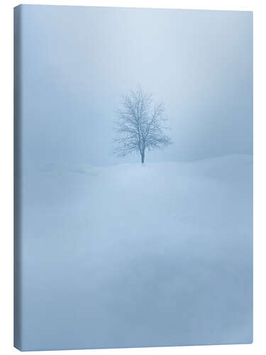 Obraz na płótnie Tree in the snow